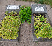 Karklės kaimo senosios kapinės,  2024 m. Liepos 11 d. 