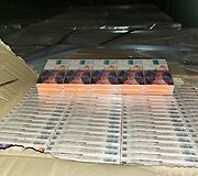 Ry&scaron;kėja naujos cigarečių kontrabandos kryptys