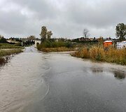 Bendorėlių gyvenvietė