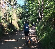 Idos kelionė &bdquo;Camino de Santiago&ldquo; keliu