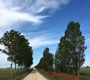 Idos kelionė &bdquo;Camino de Santiago&ldquo; keliu
