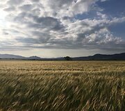 Idos kelionė &bdquo;Camino de Santiago&ldquo; keliu