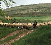 Idos kelionė &bdquo;Camino de Santiago&ldquo; keliu