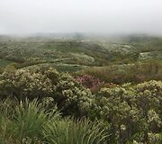Idos kelionė &bdquo;Camino de Santiago&ldquo; keliu