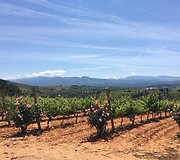 Idos kelionė &bdquo;Camino de Santiago&ldquo; keliu