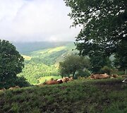 Idos kelionė &bdquo;Camino de Santiago&ldquo; keliu