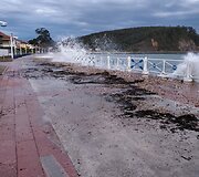 Rasos kelionė &bdquo;Camino de Santiago&ldquo; keliu