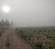 Rasos kelionė &bdquo;Camino de Santiago&ldquo; keliu