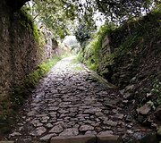 Rasos kelionė &bdquo;Camino de Santiago&ldquo; keliu