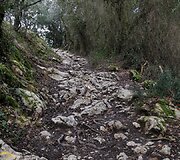 Rasos kelionė &bdquo;Camino de Santiago&ldquo; keliu