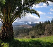 Rasos kelionė &bdquo;Camino de Santiago&ldquo; keliu