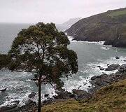 Rasos kelionė &bdquo;Camino de Santiago&ldquo; keliu