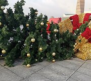 Nuvirto Marijampolės Kalėdų eglė