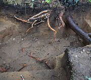 Merkinėje archeologai atkasė trijų partizanų palaikus