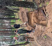 Merkinėje archeologai atkasė trijų partizanų palaikus
