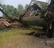 Panevėžio rajone audros i&scaron;versti medžiai aplankstė automobilį, sugriovė ūkinį pastatą