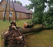 Panevėžio rajone audros i&scaron;versti medžiai aplankstė automobilį, sugriovė ūkinį pastatą