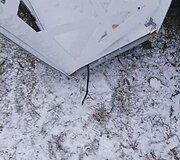 Sugadintos Kalėdinės dekoracijos