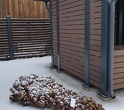 Sugadintos Kalėdinės dekoracijos