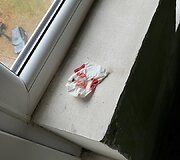 Narkomanų paliktos &scaron;iuk&scaron;lės