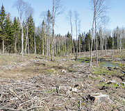 &bdquo;Erasmus+&ldquo; mi&scaron;ko sodinimas