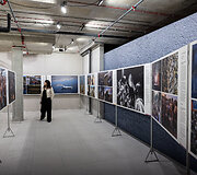 Jubiliejinės &bdquo;World Press Photo&ldquo; parodos atidarymas verslo centre &bdquo;Hero&ldquo;
