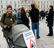 Kultūros bendruomenės finalinis mitingas