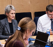 Nida Grunskienė, Laurynas Kasčiūnas