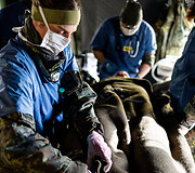 Vokietijos kariuomenės pratybos &bdquo;Medic Guardian 2026&ldquo;