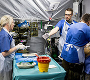 Vokietijos kariuomenės pratybos &bdquo;Medic Guardian 2026&ldquo;