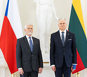 Petras Pavelas, Gitanas Nausėda