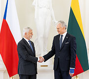 Petras Pavelas, Gitanas Nausėda