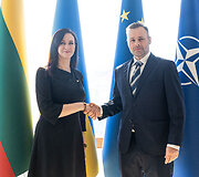 Inga Ruginienė, Michalas Mierzejewskis