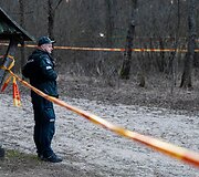 Ant Lavyso ežero nukritęs objektas