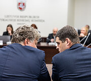 Vaidotas Sviderskis, Remigijus Žemaitaitis