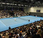 Ričardas Berankis - Jo-Wilfredas Tsonga