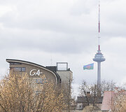 Tarptautinės romų dienos minėjimas