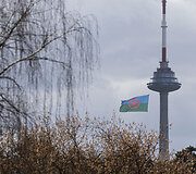 Tarptautinės romų dienos minėjimas