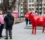 Pieno gamintojų protesto akcija Vilniuje