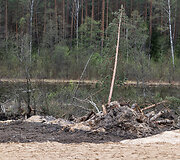 JAV karių žūties vietos incidento padarinių likvidavimo darbų pristatymas