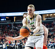 Grantas Vasiliauskas