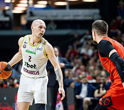 Dovis Bičkauskis