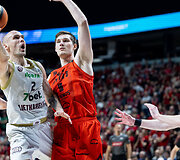 Dovis Bičkauskis