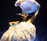 Vilniaus burleskos festivalis 2025