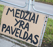 &bdquo;Fridays for future&ldquo; akcija prie&scaron; medžių kirtimą