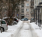 Nevalytas kiemas
