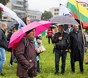 Seimo opozicijos atstovai susitiko su &Scaron;eimų mar&scaron;o protestuotojais