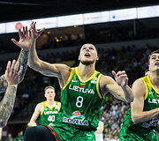 Pasaulio krep&scaron;inio čempionato atrankos rungtynės: Lietuva - Čekija