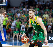 Pasaulio krep&scaron;inio čempionato atrankos rungtynės: Lietuva - Čekija