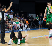 Pasaulio krep&scaron;inio čempionato atrankos rungtynės: Lietuva - Čekija
